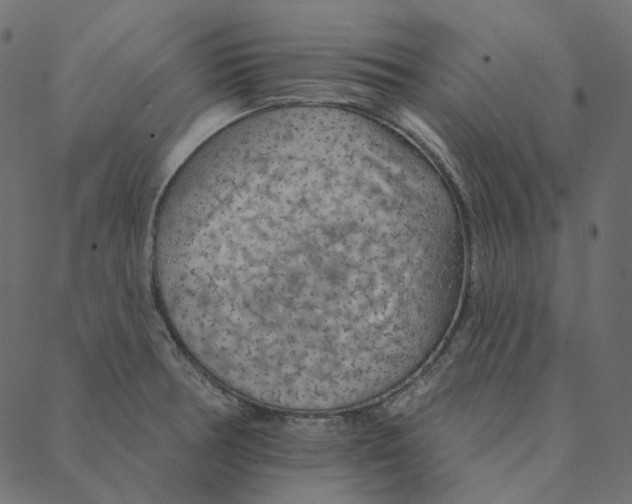 X0000087381378200705181231