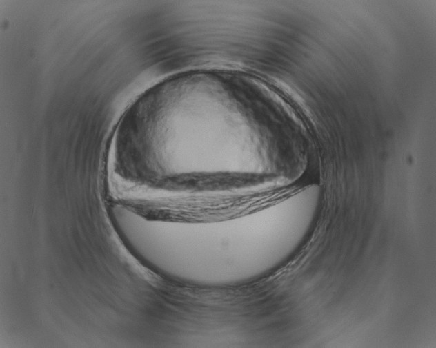 X0000087381379200705181231