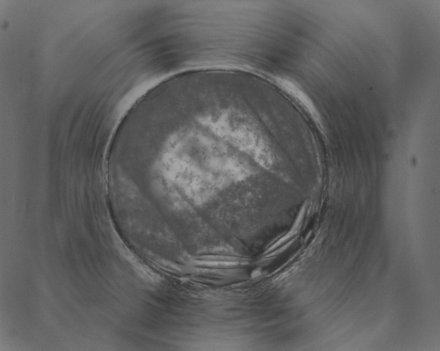 X0000087381380200705181231