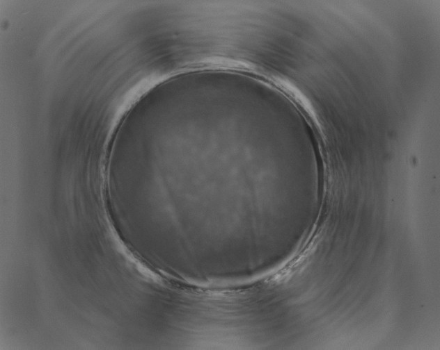 X0000087381381200705181231