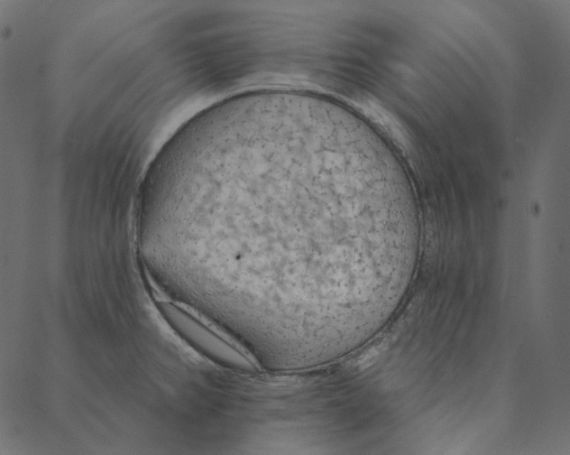 X0000087381382200705181231