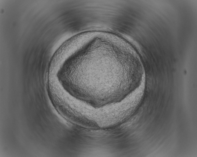 X0000087381383200705181231