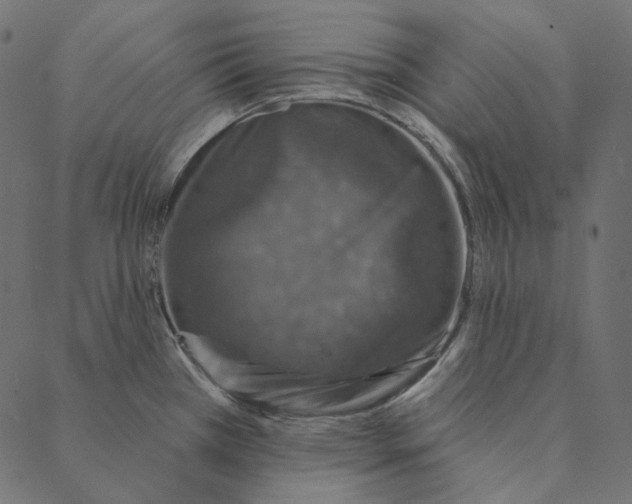 X0000087381385200705181231