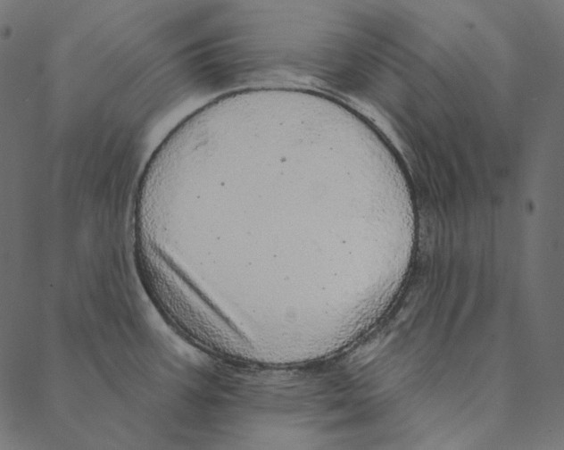 X0000087381387200705181231