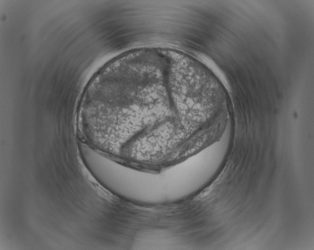 X0000087381388200705181231