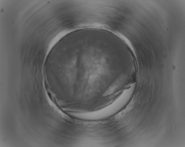 X0000087381389200705181231