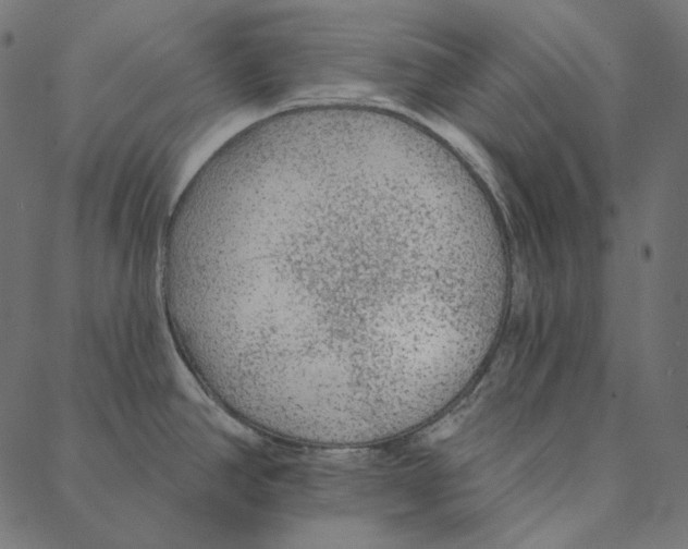 X0000087381390200705181231