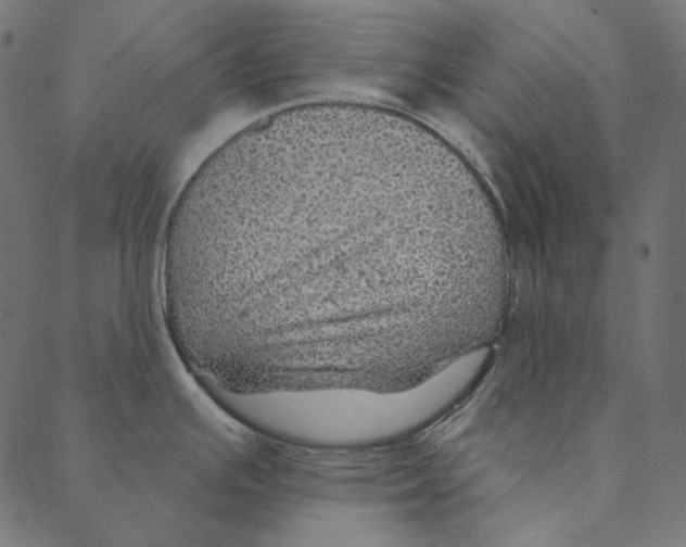 X0000087381391200705181231