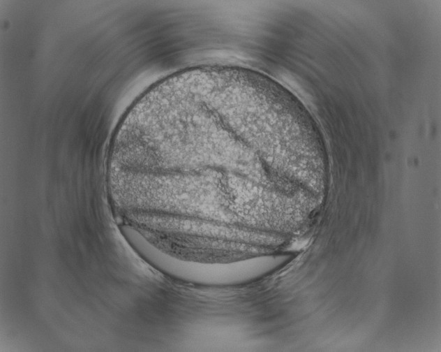 X0000087381392200705181231