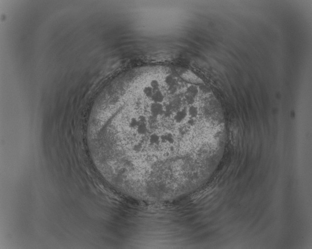 X0000087381393200705181230