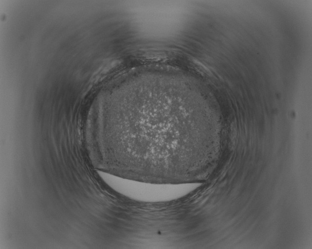 X0000087381394200705181230