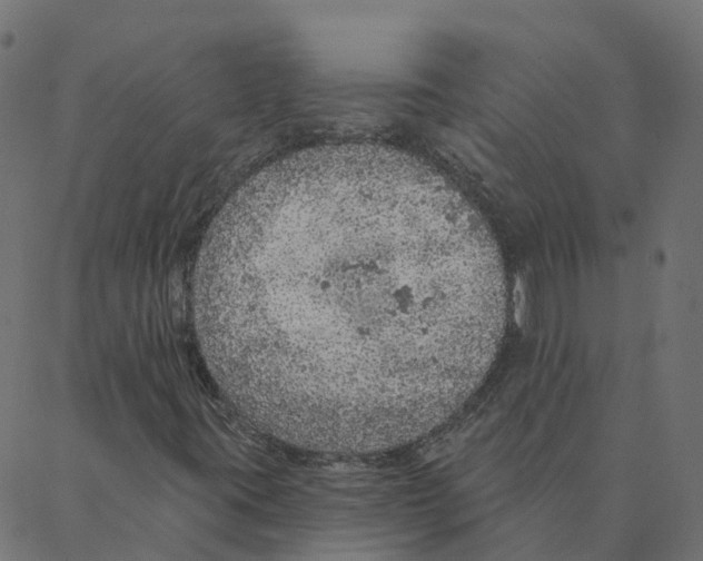 X0000087381395200705181230