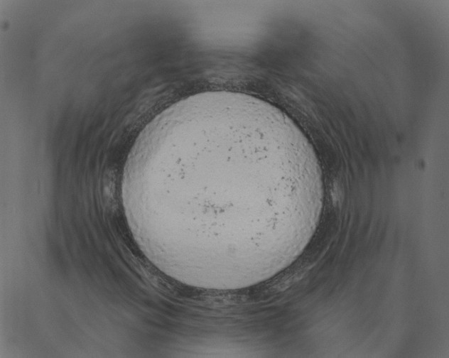 X0000087381396200705181230