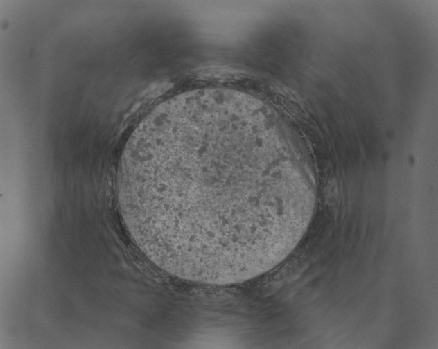 X0000087381397200705181230