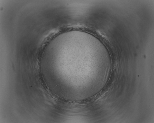 X0000087381398200705181230