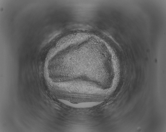 X0000087381399200705181230