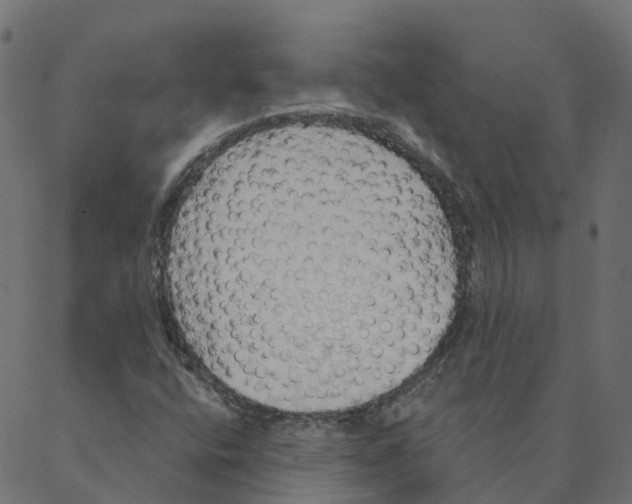 X0000087381400200705181230