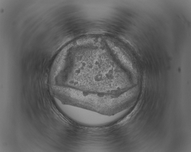 X0000087381401200705181230