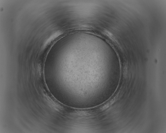 X0000087381402200705181230