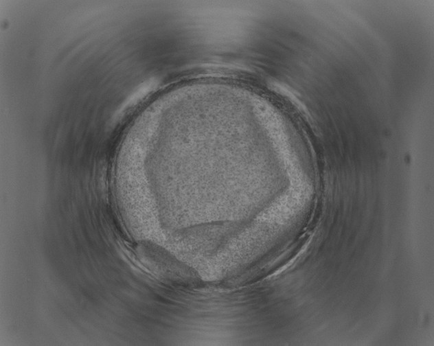 X0000087381403200705181230