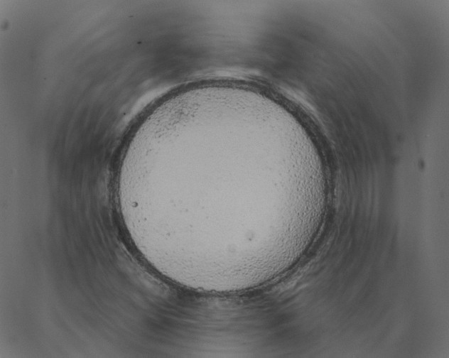 X0000087381404200705181230