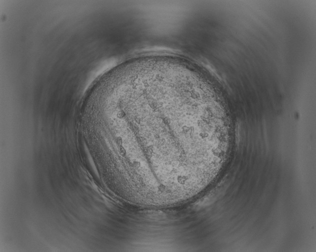 X0000087381405200705181230