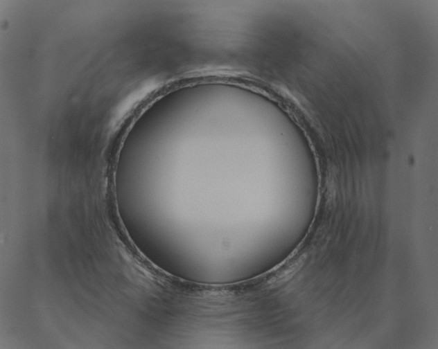 X0000087381406200705181231