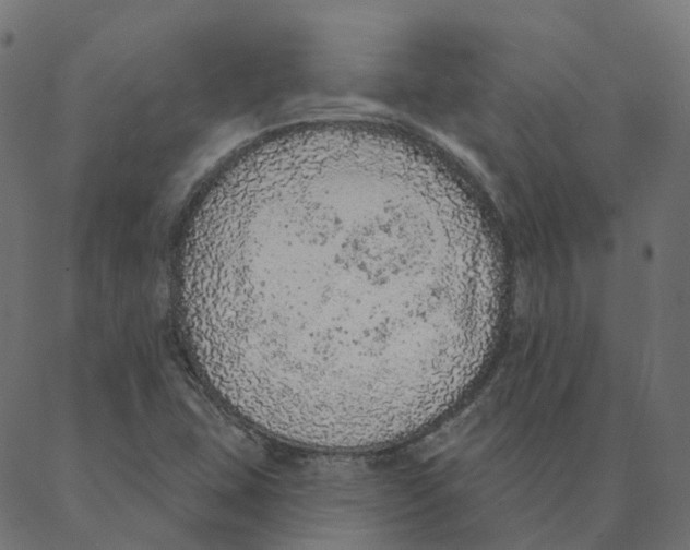 X0000087381407200705181231