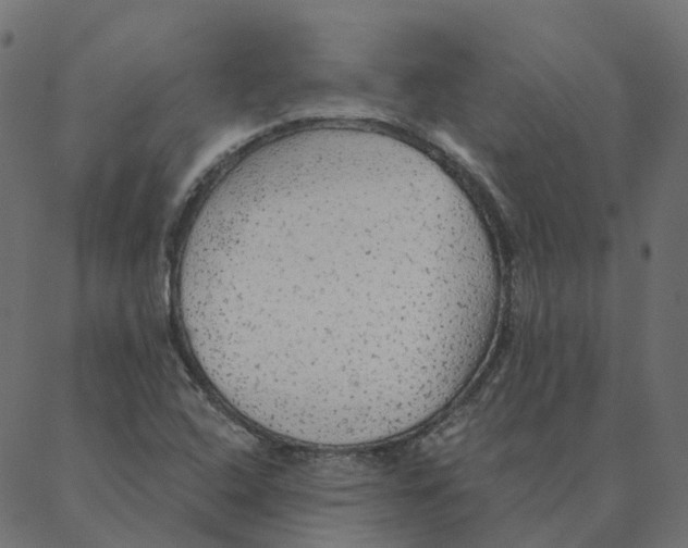 X0000087381408200705181231