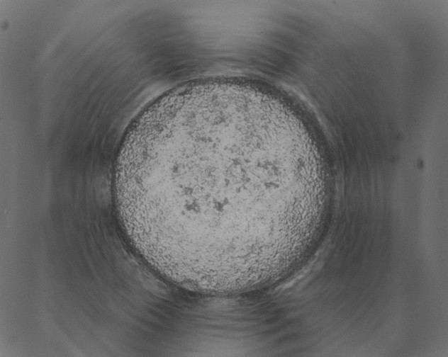 X0000087381409200705181231