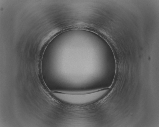 X0000087381410200705181231