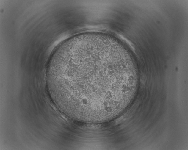 X0000087381411200705181231