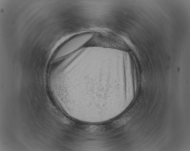 X0000087381412200705181231