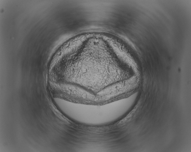 X0000087381413200705181231