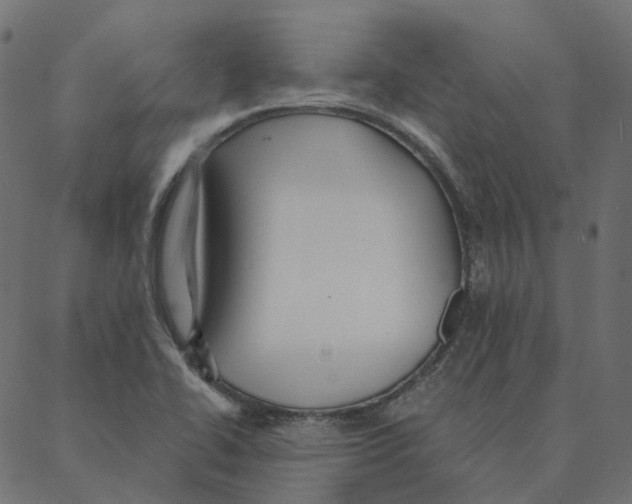 X0000087381414200705181231