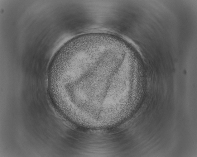 X0000087381415200705181231