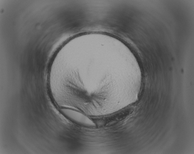 X0000087381416200705181231