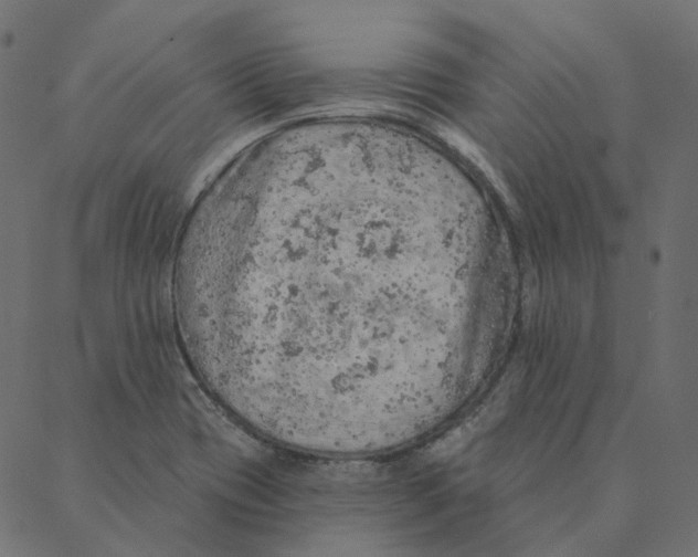 X0000087381417200705181231