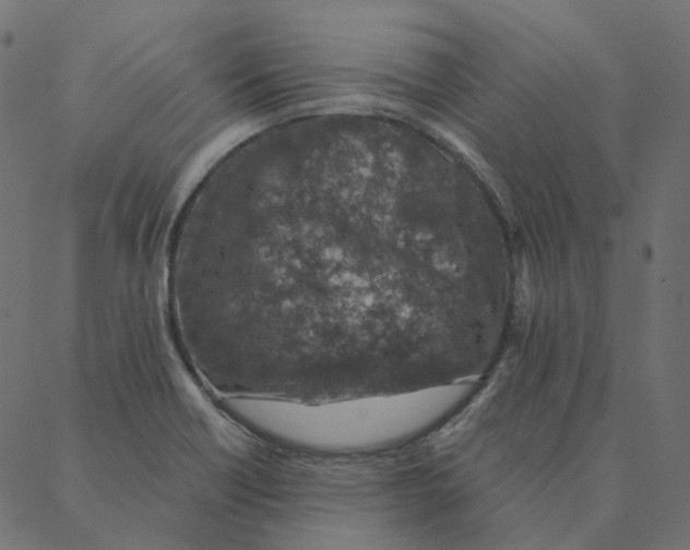 X0000087381418200705181231