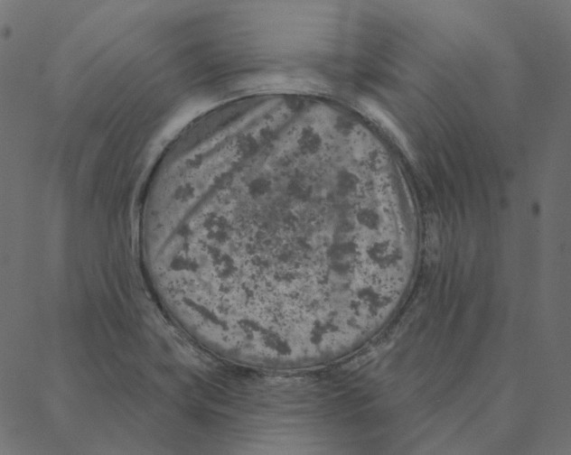 X0000087381419200705181231