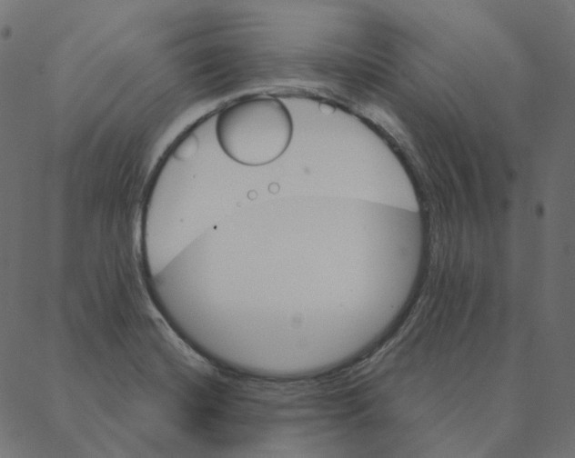 X0000087381420200705181231