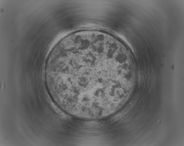 X0000087381421200705181231