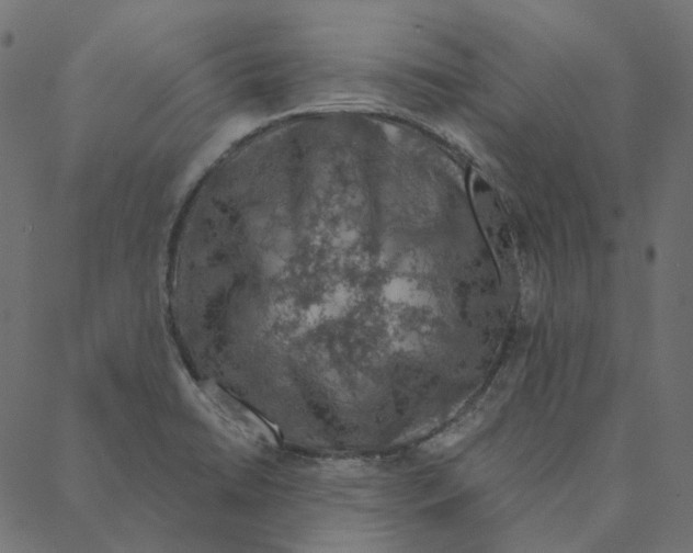 X0000087381422200705181231