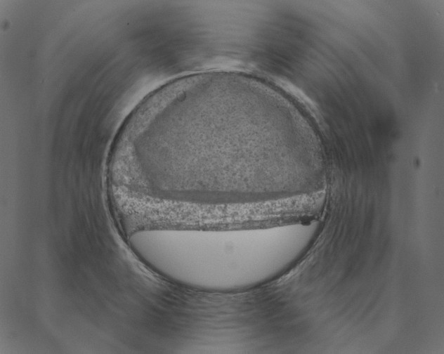 X0000087381423200705181231