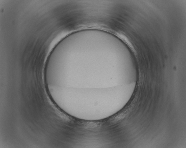 X0000087381424200705181231