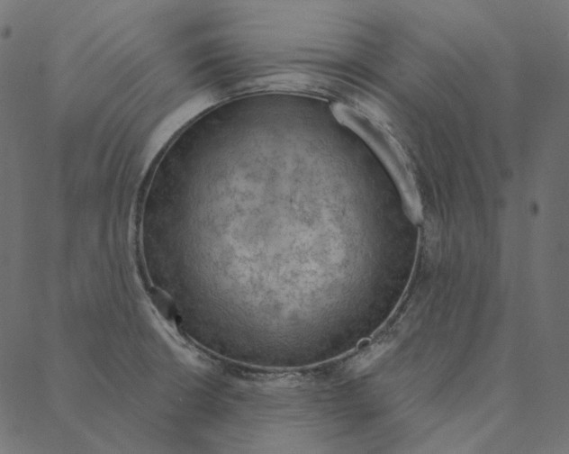 X0000087381426200705181231