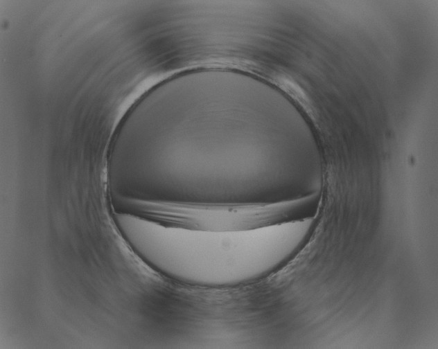 X0000087381428200705181231