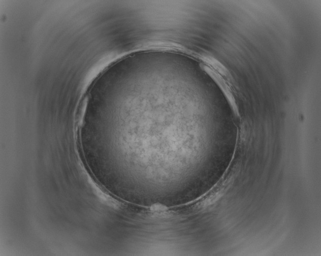 X0000087381430200705181231