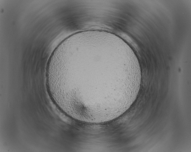 X0000087381431200705181231