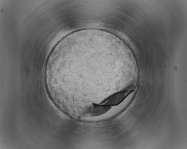 X0000087381432200705181231